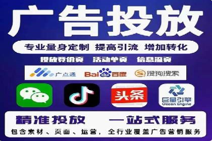 SEO与SEM融合策略：成功案例解析